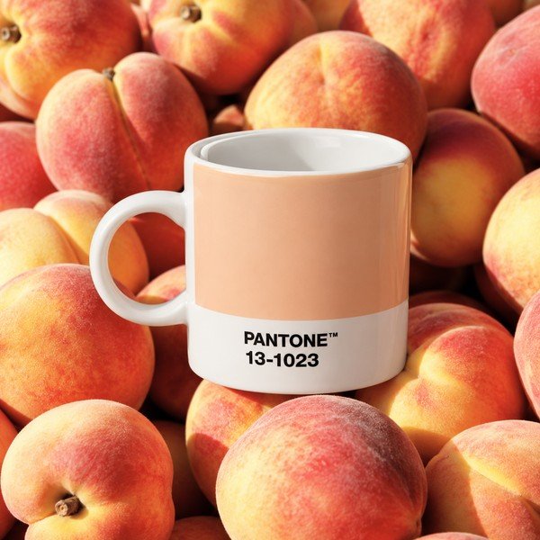 Barackszínű porcelán eszpresszó csésze 120 ml Peach Fuzz 13-1023 – Pantone-image-1