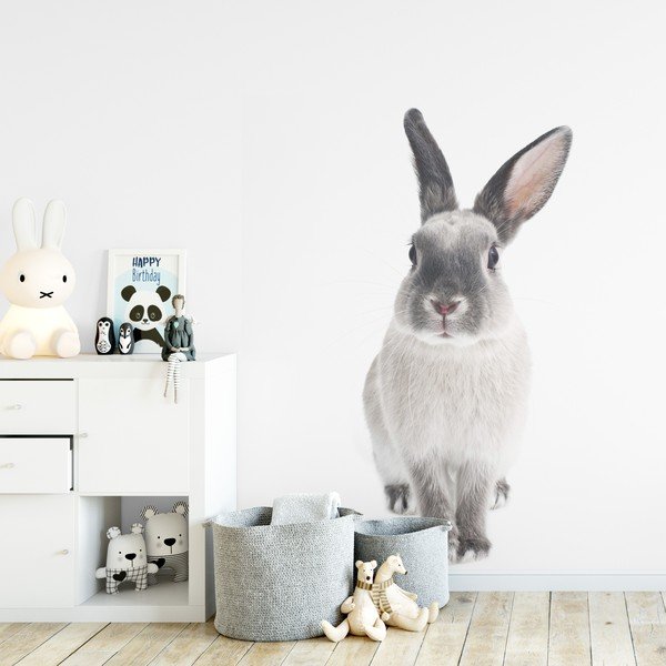 Rabbit Harry falmatrica, 53 x 115 cm - Dekornik-image-1