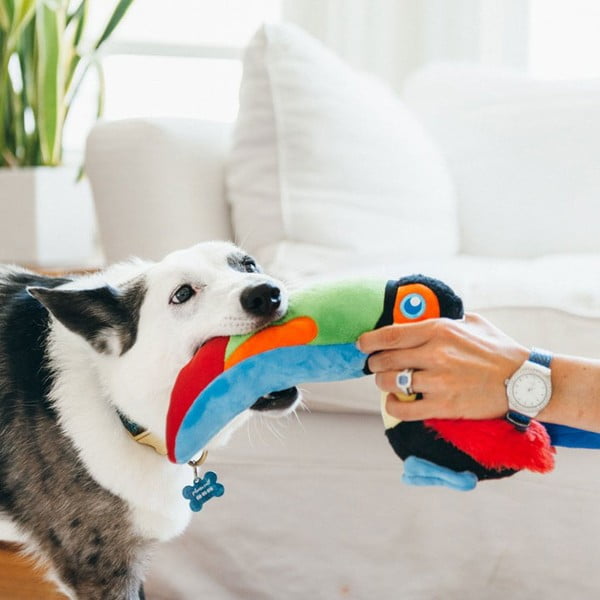 Játék kutyáknak Tukan - P.L.A.Y.-image-1