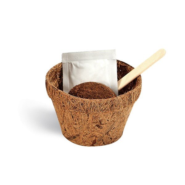 Good Luck növénytermesztő készlet lóhere magokkal - Gift Republic-image-1