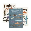Lemosható tetoválás, 2 db lap Sharks - Rex London