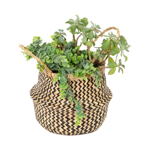 Zic Zac tengerifű tárolókosár, ⌀ 27 cm - Compactor-image-2