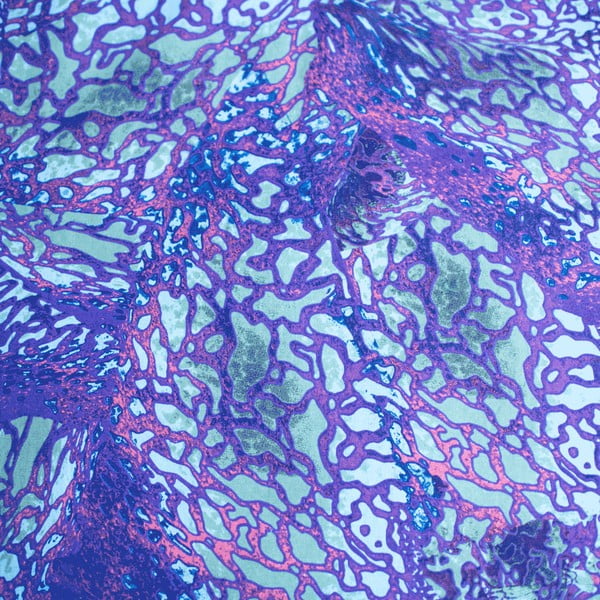 Kék egyszemélyes pamut gyerek ágyneműhuzat 140x200 cm How To Train Your Dragon – Jerry Fabrics-image-4