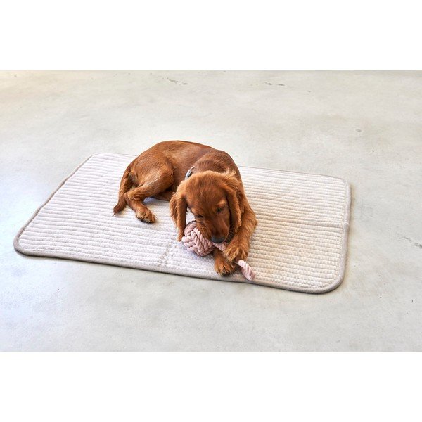 Bézs pamut takaró kutyáknak 90x120 cm Onda Greige L – MiaCara-image-3