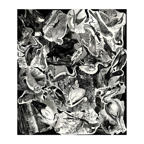 Birds szőnyeg, 230 x 200 cm - Casa Di Bassi