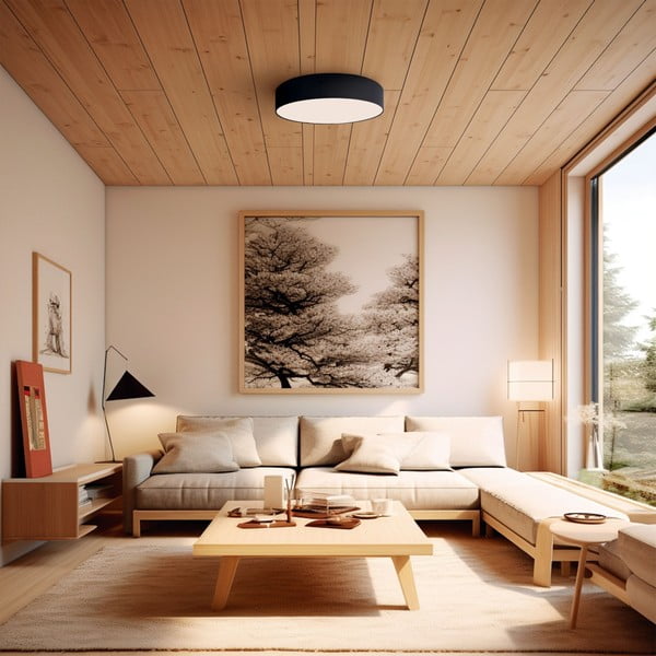 Fekete LED mennyezeti lámpa ø 60 cm – SULION-image-1