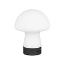 Matt fehér LED asztali lámpa üveg búrával (magasság 18 cm) Dooley – Reality