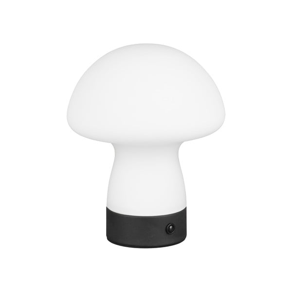 Matt fehér LED asztali lámpa üveg búrával (magasság 18 cm) Dooley – Trio