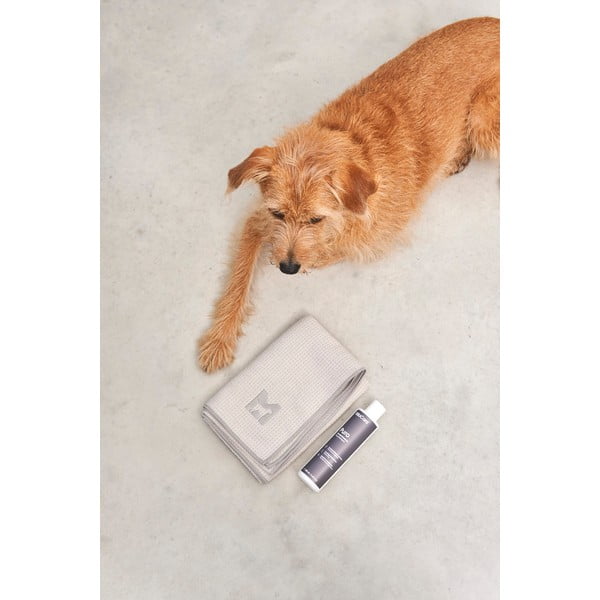 Törölköző házi kedvenceknek Panno Greige S/M – MiaCara-image-4