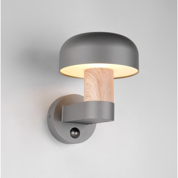 Fali kültéri lámpa (magasság 24,5 cm) Fraser – Trio-image-1