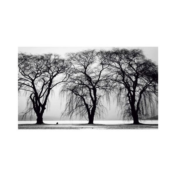 Black&White Trees kép, 41 x 70 cm