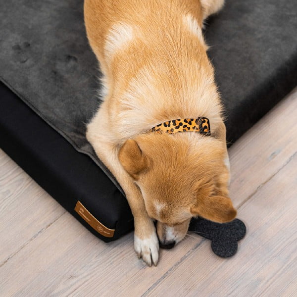 Fekete ortopédiai matrac kutyáknak 90x70 cm Ori XL – Rexproduct-image-3