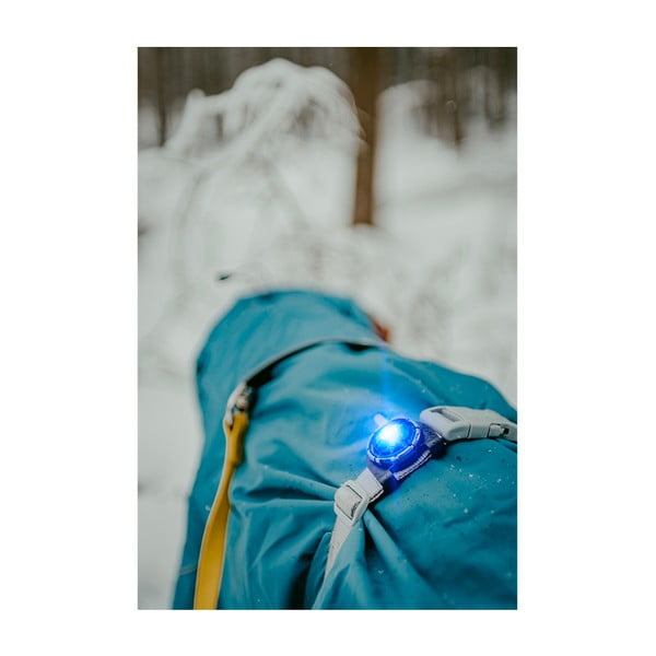 LED fény nyakörvre Blue - Orbiloc-image-3