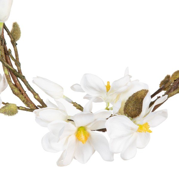 Koszorú Magnolia – Ixia-image-2