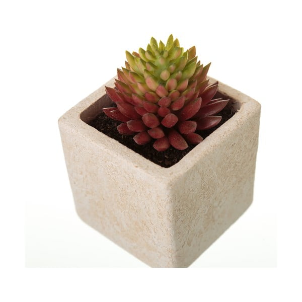 Műnövény szett 6 db-os (magasság 9,5 cm) Cactus – Casa Selección-image-4