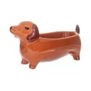 Porcelán dekoratív tál 5x14 cm Sausage Dog – Sass & Belle