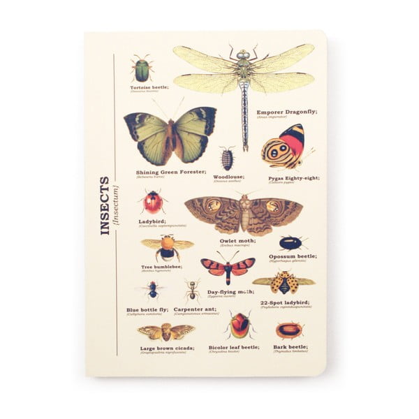 Insects jegyzetfüzet, A5 méret - Gift Republic