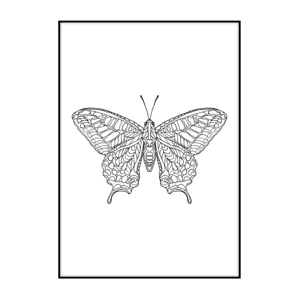Butterfly plakát, 40 x 30 cm - Imagioo