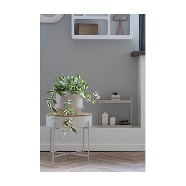 Műnövény (magasság 33 cm) Hoya Carnosa – House Nordic-image-2