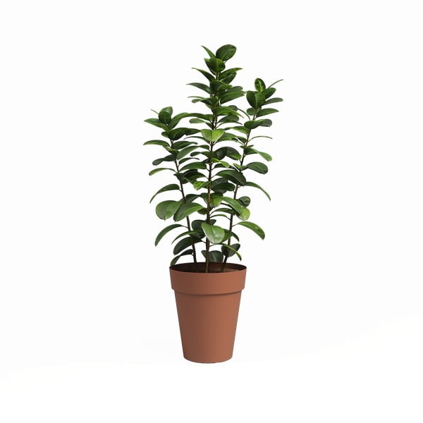 Újrahasznosított műanyag virágcserép ø 40 cm Capri – Artevasi-image-1