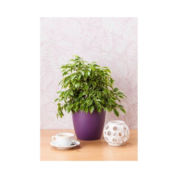 Perla lila kaspó, ø 19 cm - Plastia-image-1