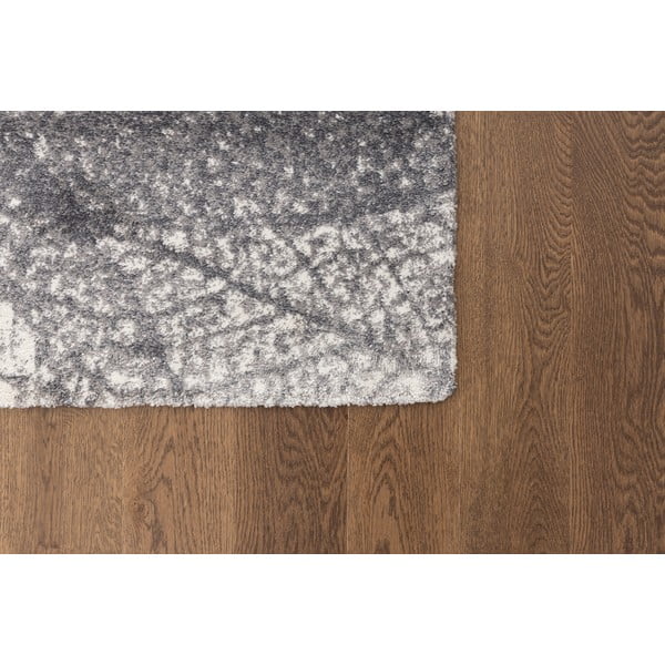 Szürke szőnyeg 160x230 cm Lush – FD-image-3
