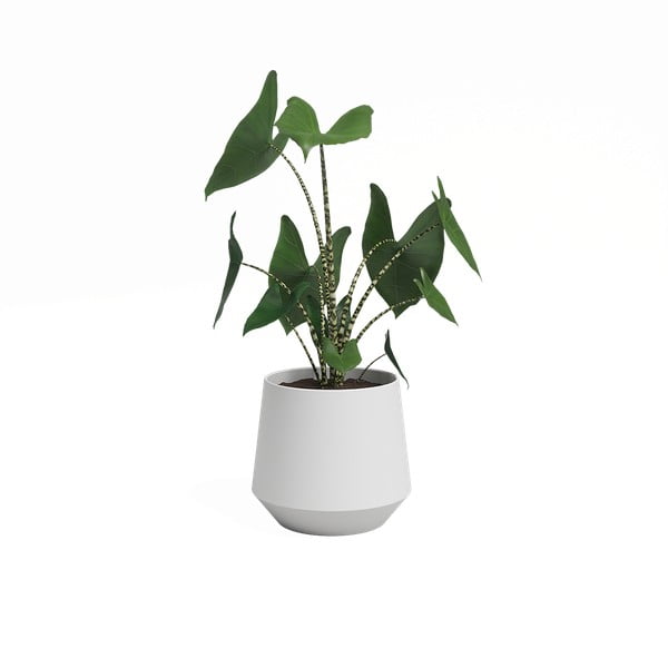 Kerámia virágcserép ø 17 cm Aurora – Artevasi-image-3