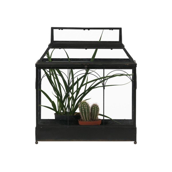 Grow terrárium virágoknak - BePureHome-image-1