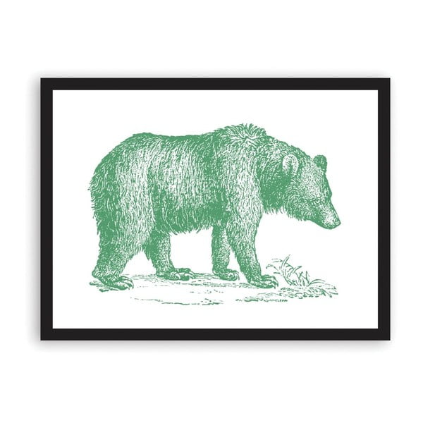 Bear plakát, 42 x 29,7 cm - Ohh Deer