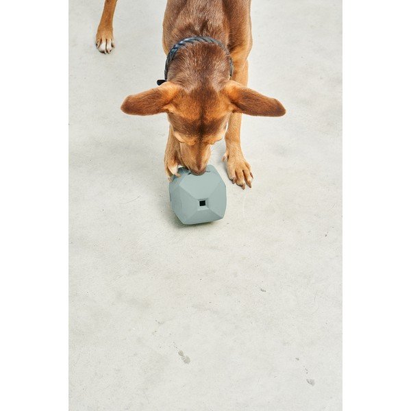 Kutyajáték Dado Eucalyptus – MiaCara-image-3