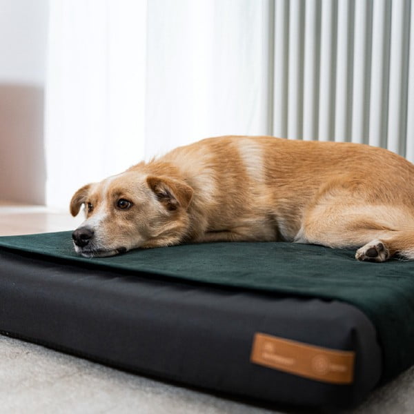Fekete ortopédiai matrac kutyáknak 90x70 cm Ori XL – Rexproduct-image-2