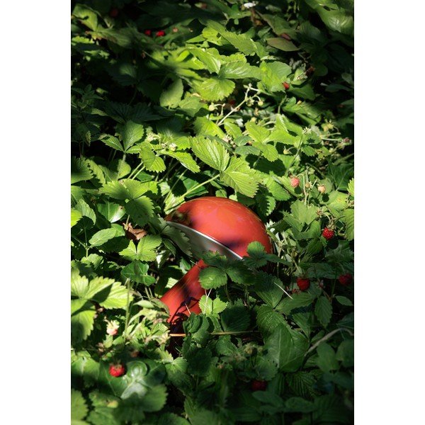 Piros LED dimmelhető asztali lámpa (magasság 20 cm) Mush – Hübsch-image-4