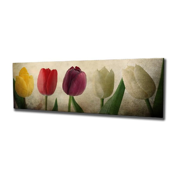 Tulip vászon fali kép, 80 x 30 cm