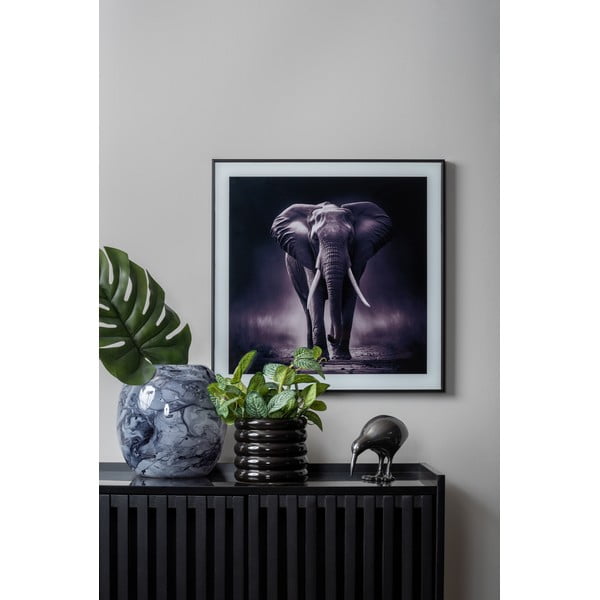 Kép 50x50 cm  Elephant  – PT LIVING-image-1