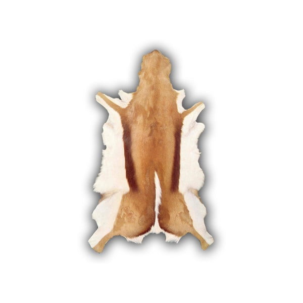 Gacela antilopbőr, 85 x 50 cm - Pipsa