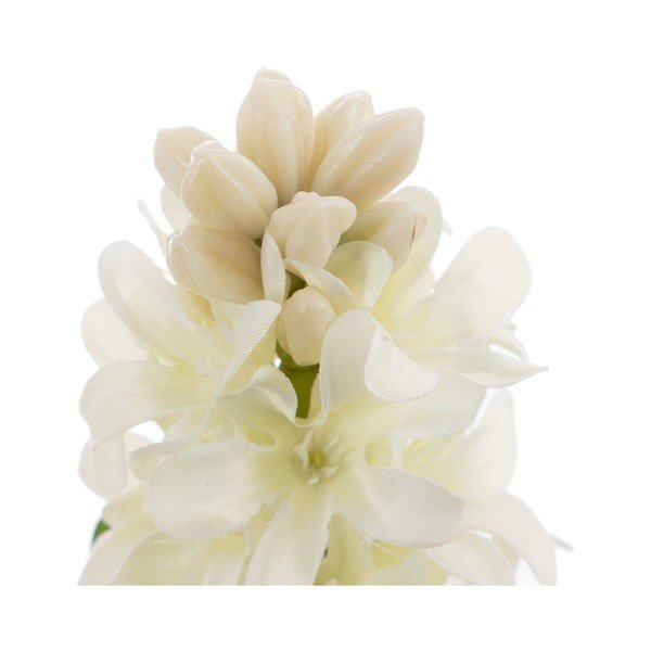 Műnövény (magasság 29 cm) Hyacinth – Ixia-image-2