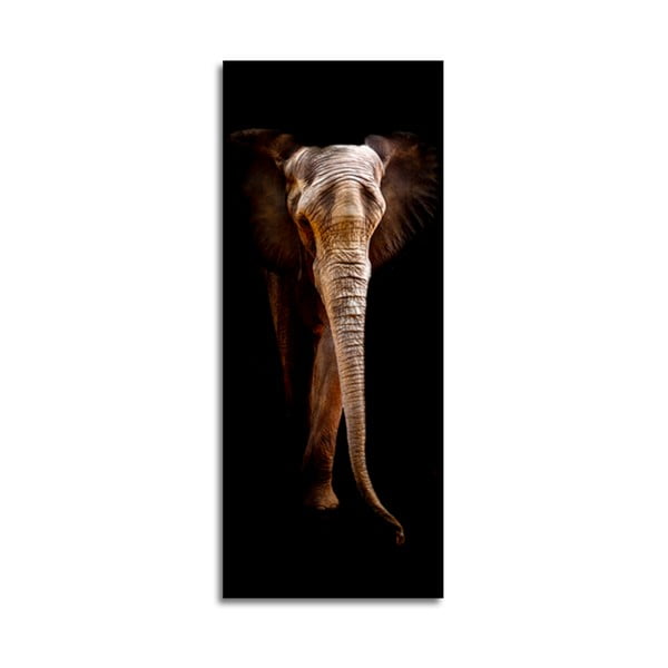 Elephant kép, 125 x 50 cm - Styler
