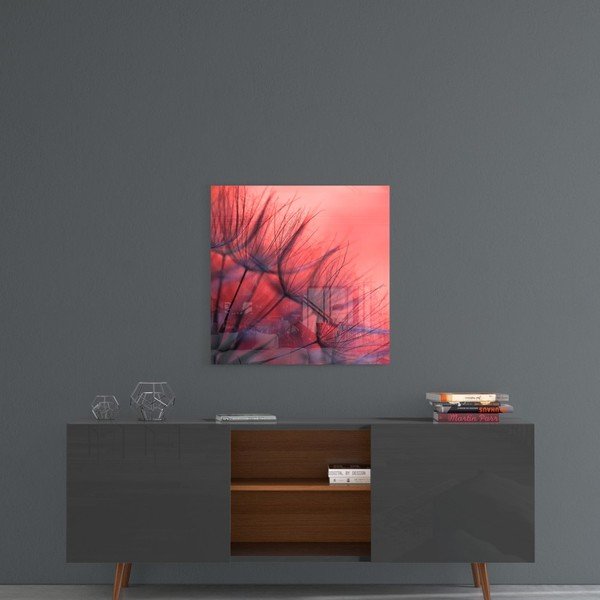 Red Dandelion üvegkép, 40 x 40 cm - Insigne-image-1