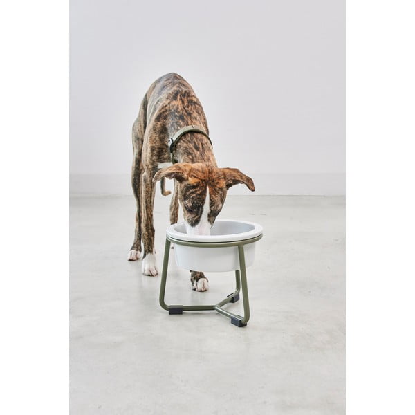 Porcelán tálka állvánnyal kutyáknak ø 20 cm Pranzo Grolive M – MiaCara-image-3