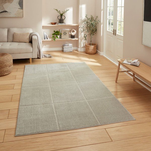 Világosszürke szőnyeg 120x170 cm Elio Silver – Think Rugs-image-1