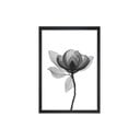 Kép 24x29 cm Harmony Flower – Vavien Artwork