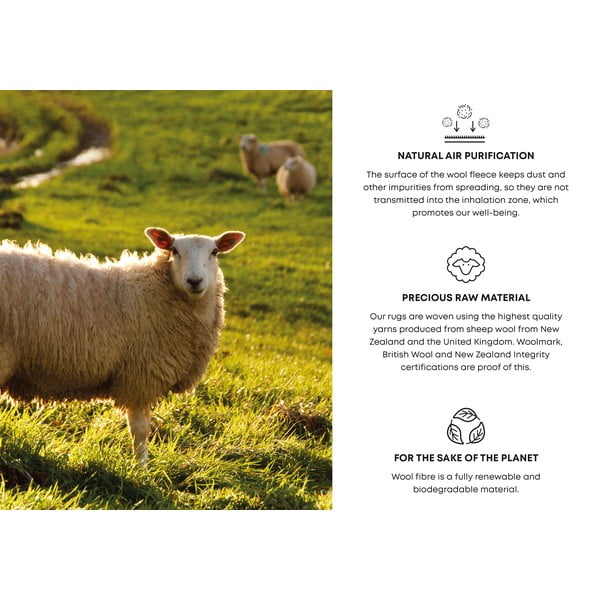 Szürke gyapjú szőnyeg 200x300 cm Meri – Agnella-image-4