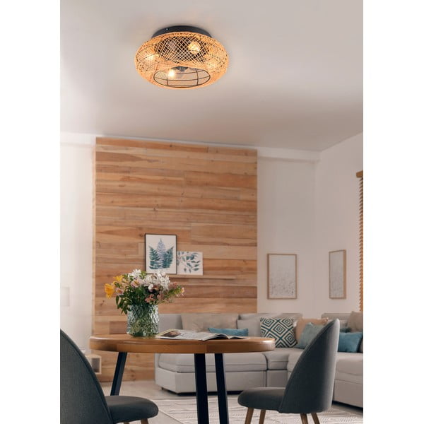 Barna mennyezeti lámpa távirányítóval-ventilátorral Lillesand – Trio-image-2