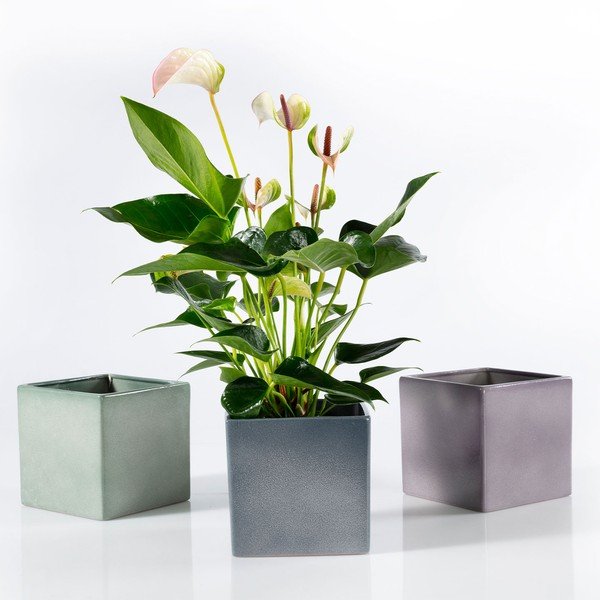 Latina zöld kerámia virágcserép, 15 x 15 cm - Big pots-image-2