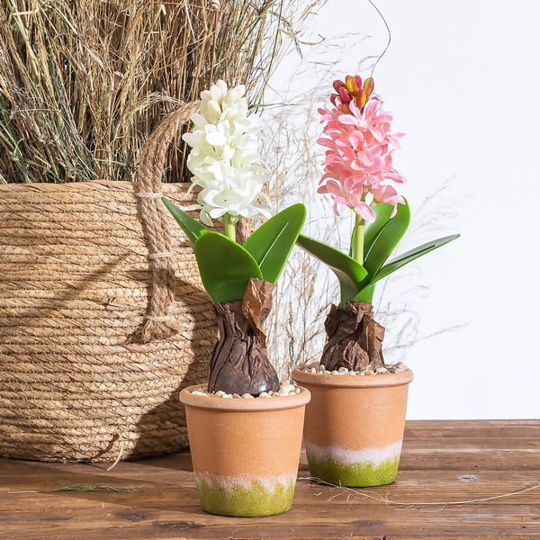 Műnövény (magasság 29 cm) Hyacinth – Ixia-image-1