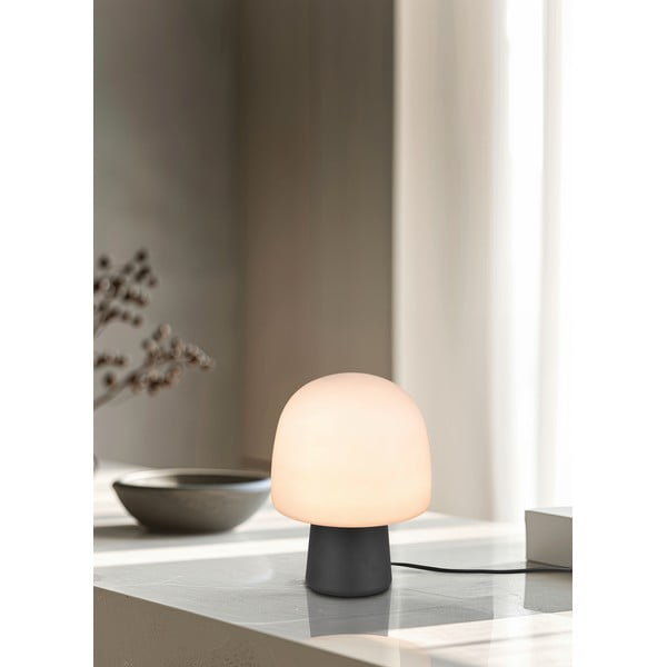 Fekete-fehér asztali lámpa üveg búrával (magasság 27 cm) Steen – Trio-image-1