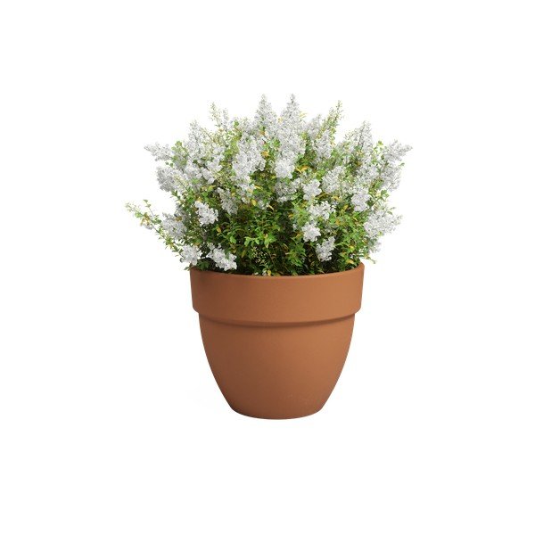 Terrakotta virágcserép ø 40 cm Amalia Campana – Artevasi-image-2