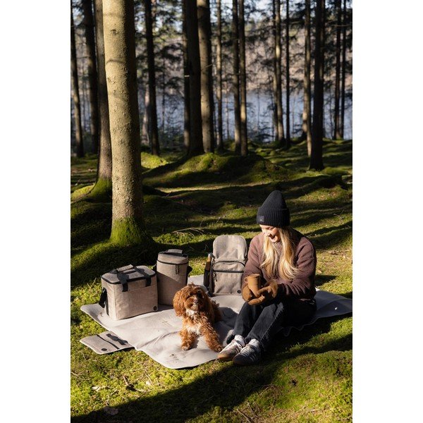 Bézs hűtőtáska 9 l City – Sagaform-image-3