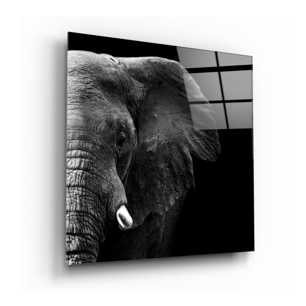 Elephant üvegkép, 100 x 100 cm - Insigne