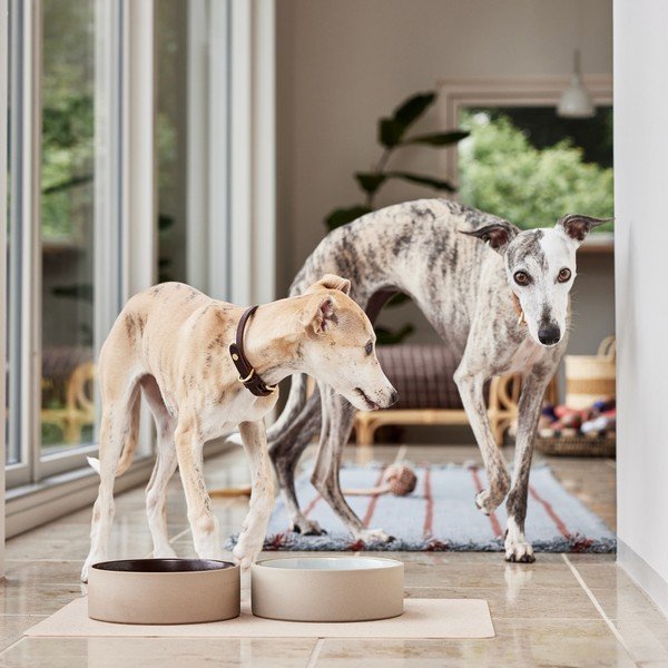 Kerámia tálka kutyáknak ø 17 cm Sia – OYOY Living Design-image-1